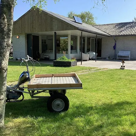 Family In Albaek, 6 Guests * Ålbæk